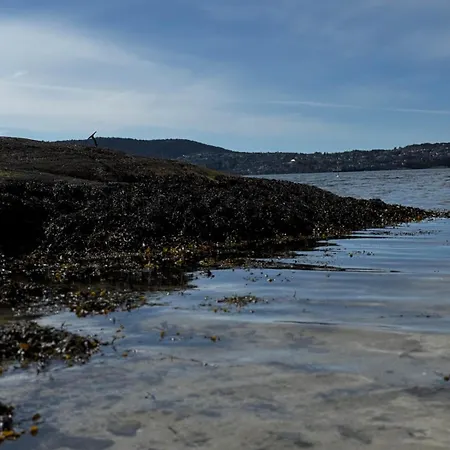 Familyhome For 8 People - 4 Bedrooms - 10min From Center 公寓 卑爾根