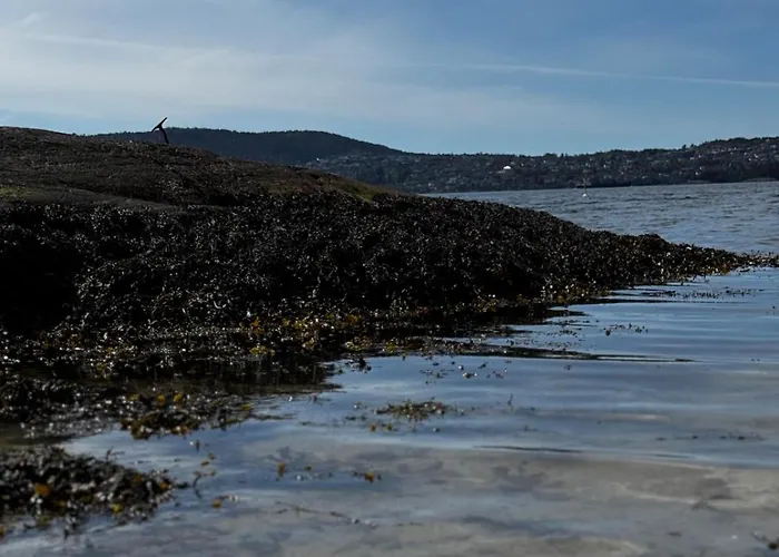 Familyhome For 8 People - 4 Bedrooms - 10min From Center Appartement Bergen